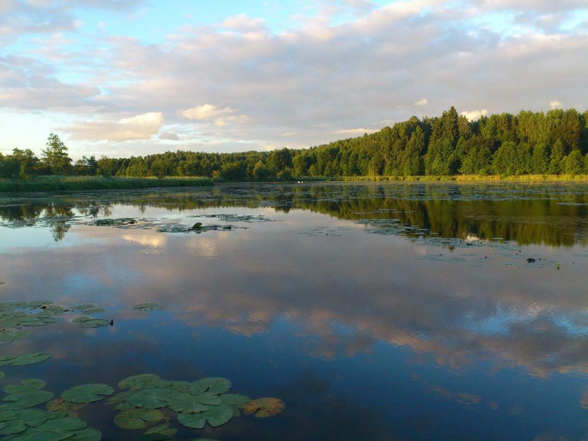 Вілла Zlota Lesniczowka Rydzowka Екстер'єр фото